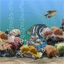 aquarium.gif